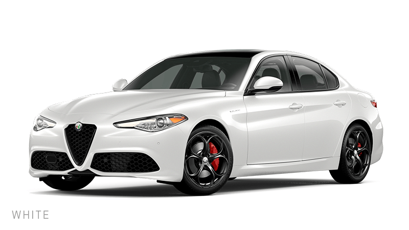 Alfa Romeo Veloce finished in White