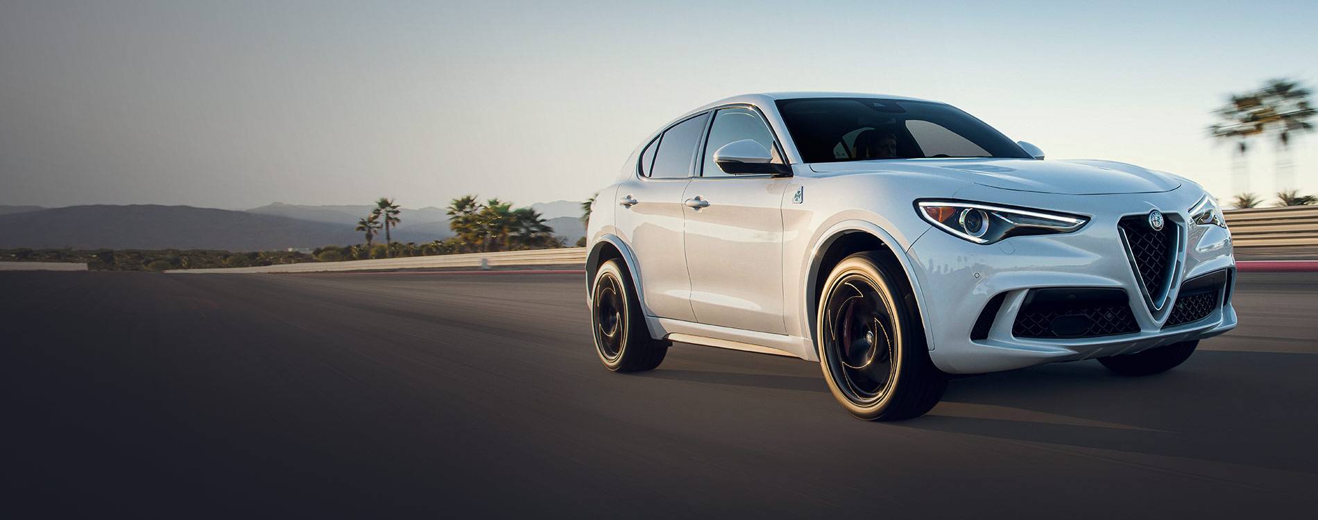Front view of a blue stelvio-qv